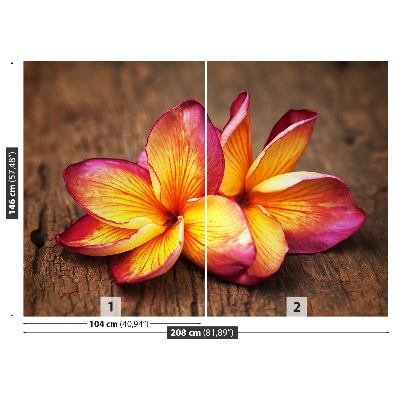 Stenska fototapeta Plumeria wood