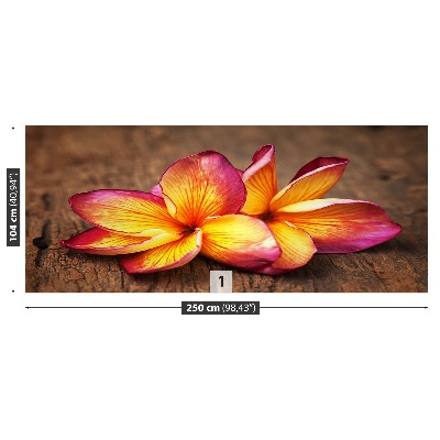 Stenska fototapeta Plumeria wood