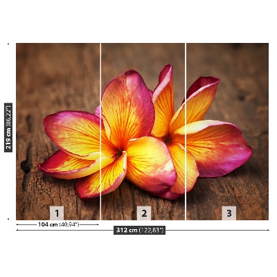 Stenska fototapeta Plumeria wood