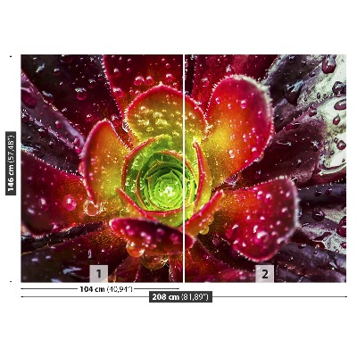 Stenska fototapeta Rdeči cvet