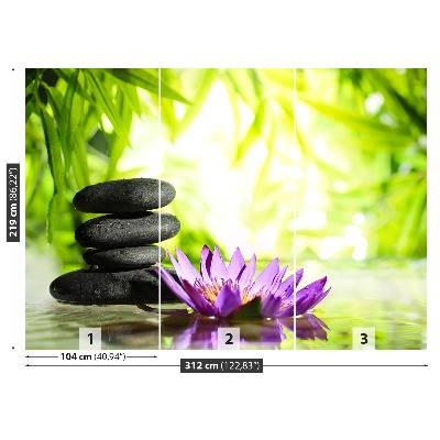 Stenska fototapeta Lotus in zen stone