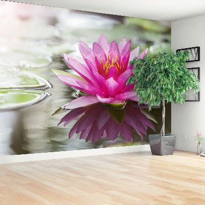 Stenska fototapeta Pink lotus