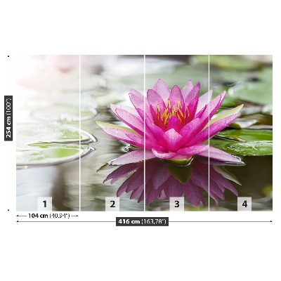 Stenska fototapeta Pink lotus