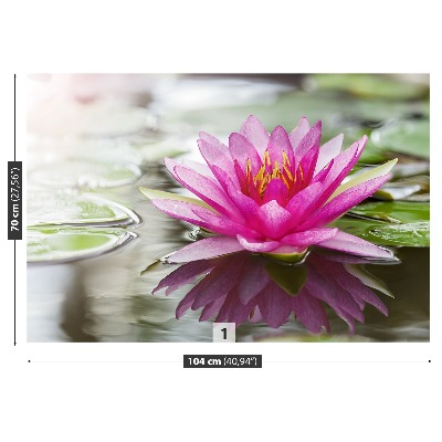 Stenska fototapeta Pink lotus