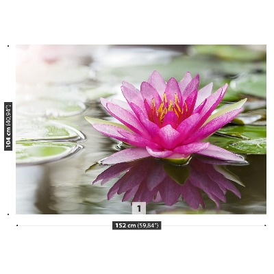 Stenska fototapeta Pink lotus