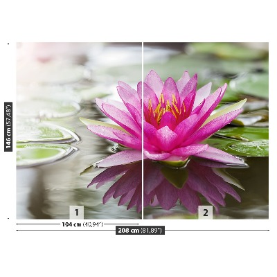 Stenska fototapeta Pink lotus