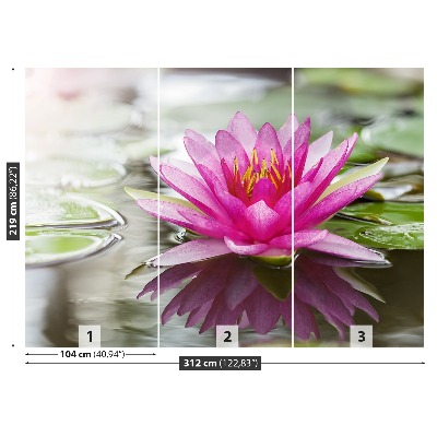 Stenska fototapeta Pink lotus