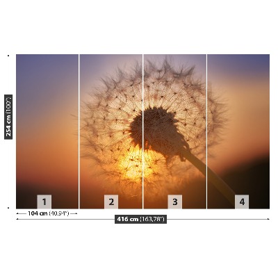 Stenska fototapeta Dandelion