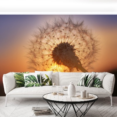 Stenska fototapeta Dandelion