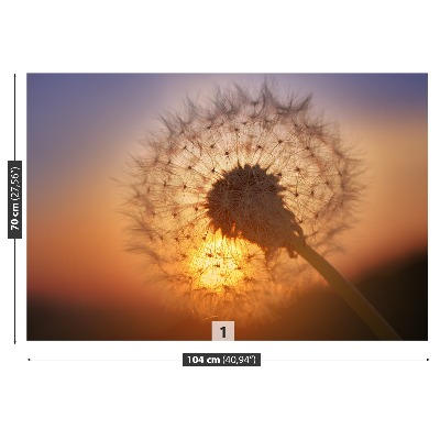 Stenska fototapeta Dandelion