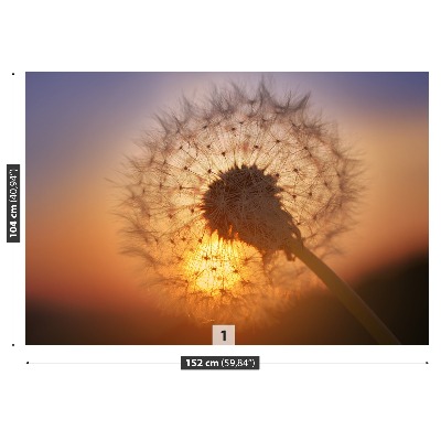 Stenska fototapeta Dandelion