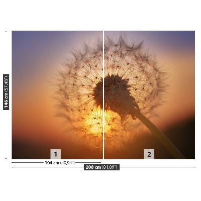 Stenska fototapeta Dandelion