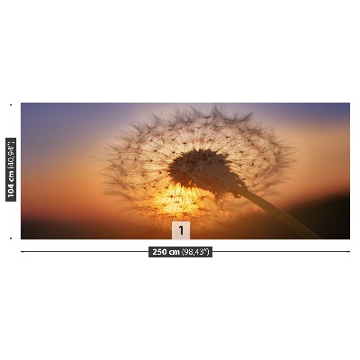 Stenska fototapeta Dandelion