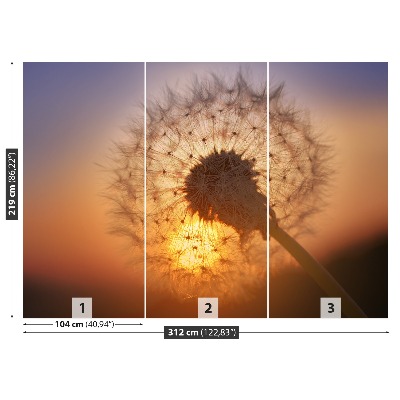 Stenska fototapeta Dandelion