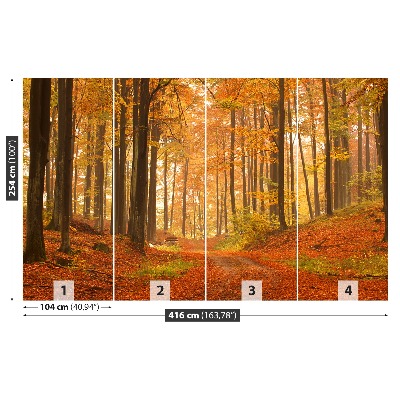 Stenska fototapeta Gozd v jeseni