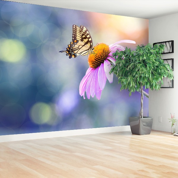 Stenska fototapeta Echinacea metulj