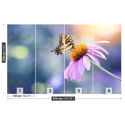 Stenska fototapeta Echinacea metulj