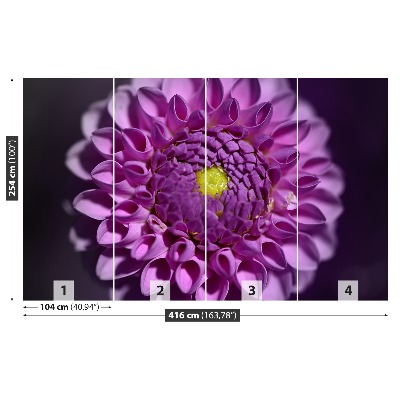 Stenska fototapeta Dahlia pink