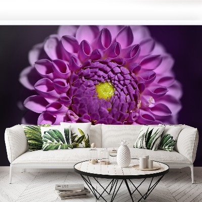 Stenska fototapeta Dahlia pink