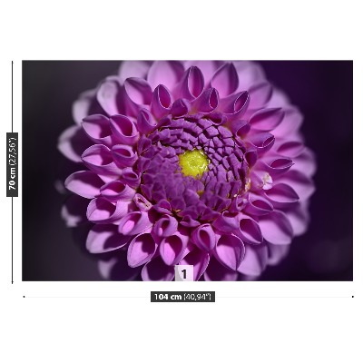 Stenska fototapeta Dahlia pink