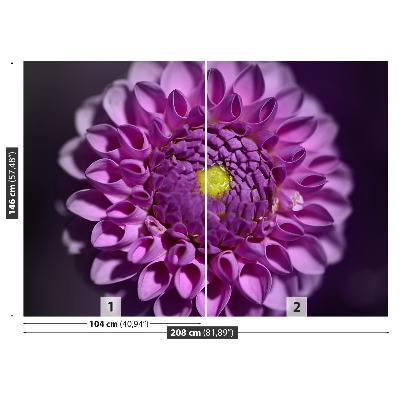 Stenska fototapeta Dahlia pink