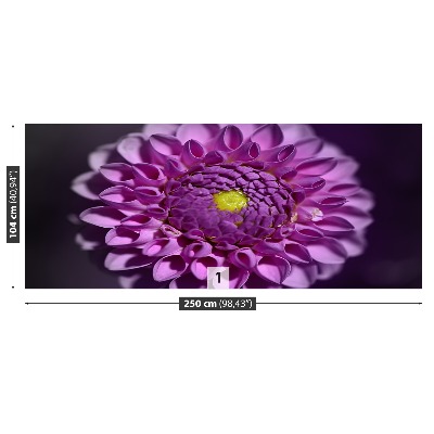 Stenska fototapeta Dahlia pink