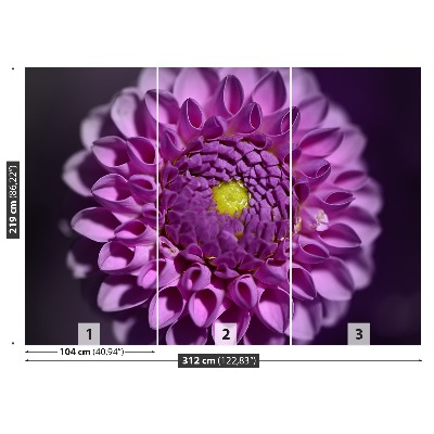 Stenska fototapeta Dahlia pink