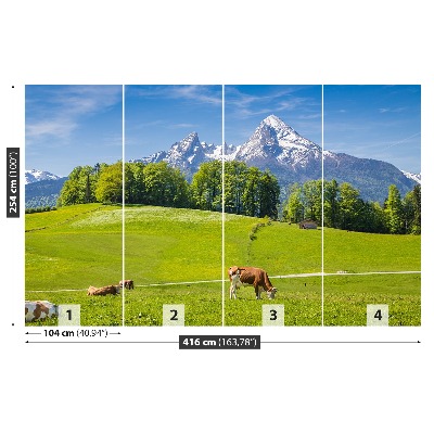 Fototapeta Alpe krave