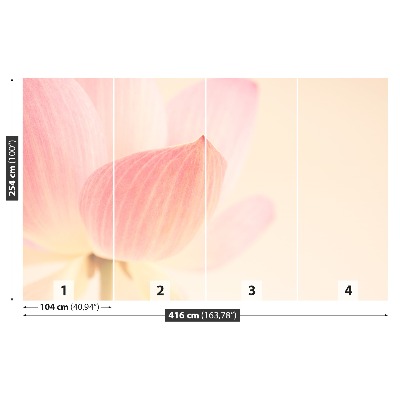 Stenska fototapeta Pink lotus