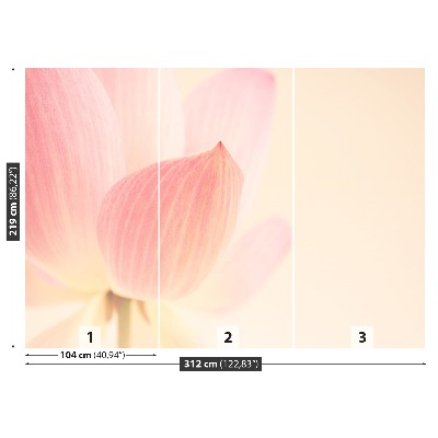 Stenska fototapeta Pink lotus