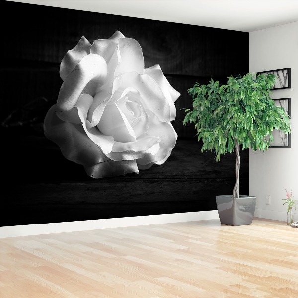 Stenska fototapeta White rose