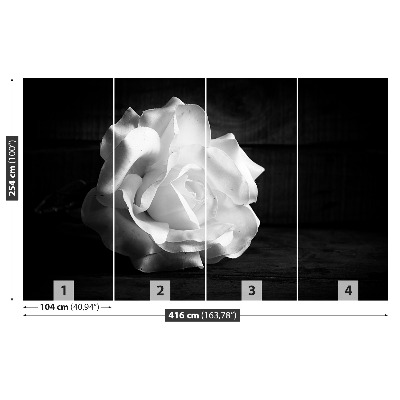 Stenska fototapeta White rose