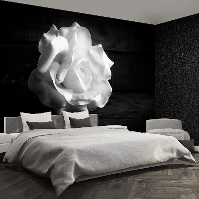 Stenska fototapeta White rose