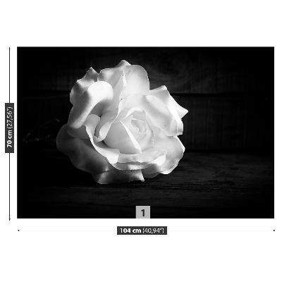 Stenska fototapeta White rose