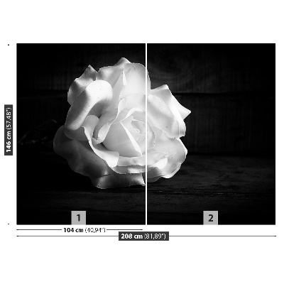 Stenska fototapeta White rose