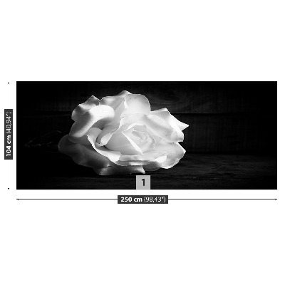 Stenska fototapeta White rose