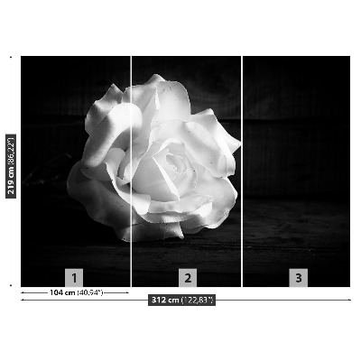 Stenska fototapeta White rose