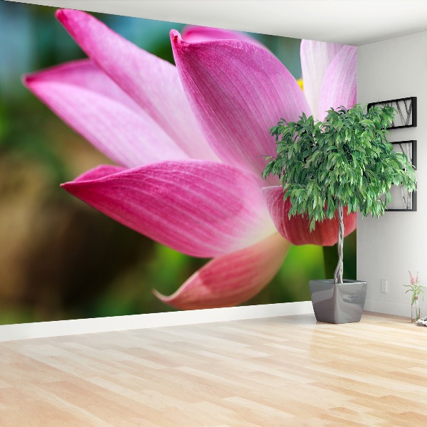 Stenska fototapeta Pink lotus
