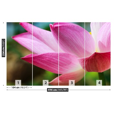 Stenska fototapeta Pink lotus