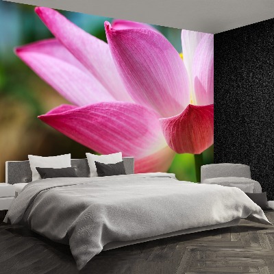 Stenska fototapeta Pink lotus