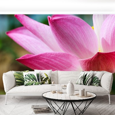 Stenska fototapeta Pink lotus