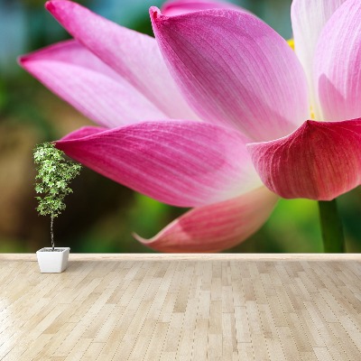 Stenska fototapeta Pink lotus