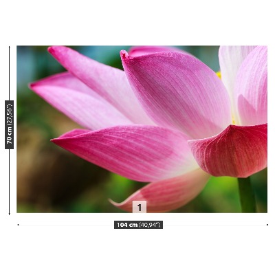 Stenska fototapeta Pink lotus