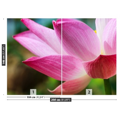 Stenska fototapeta Pink lotus
