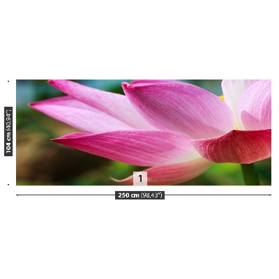 Stenska fototapeta Pink lotus