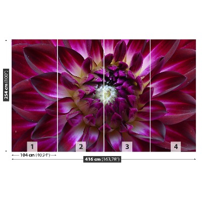 Stenska fototapeta Aster purple