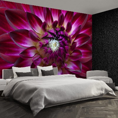 Stenska fototapeta Aster purple
