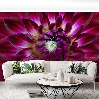 Stenska fototapeta Aster purple