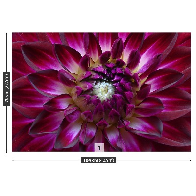 Stenska fototapeta Aster purple