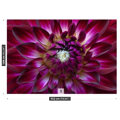 Stenska fototapeta Aster purple